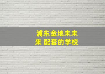 浦东金地未未来 配套的学校